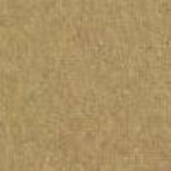 Picture of ProLine Golden