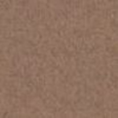 Picture of ProLine Camel