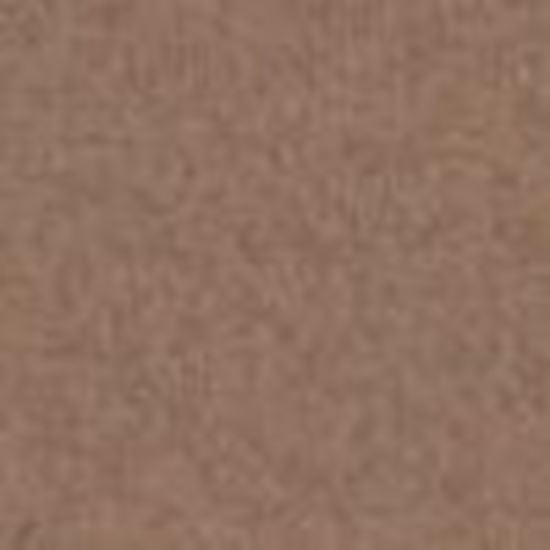 Picture of ProLine Camel