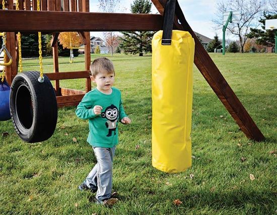 Picture of Punching Bag