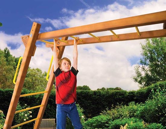 Picture of 4" x 4" Monkey Bars
