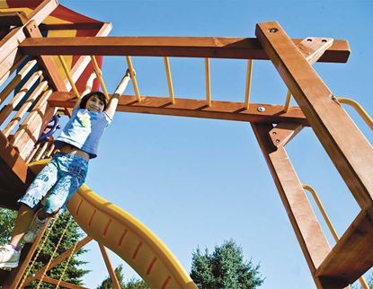 Picture of Rainbow Monkey Bars